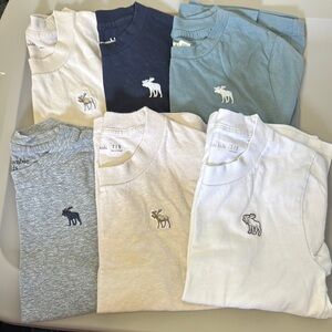 Abercrombie Kids Moose Logo Tees in Blue, Gray, and White